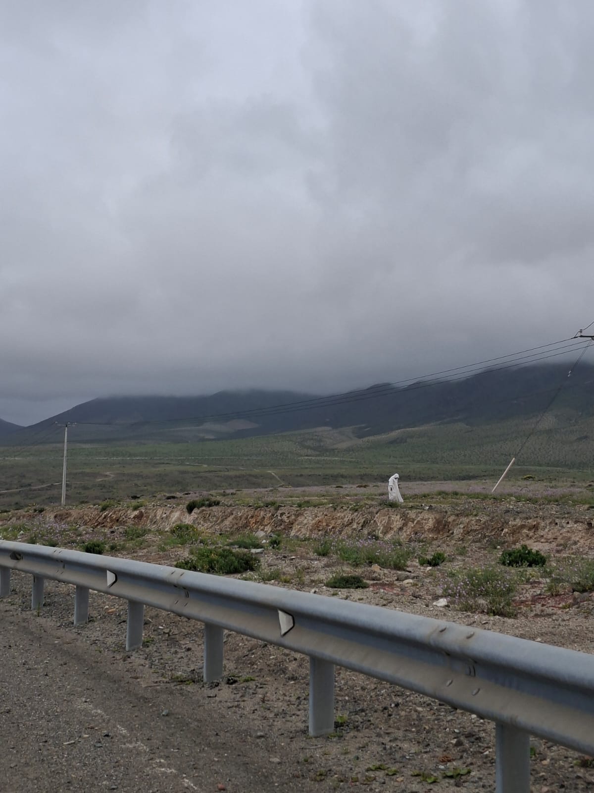 Atacama Desert Fieldwork — photograph 3